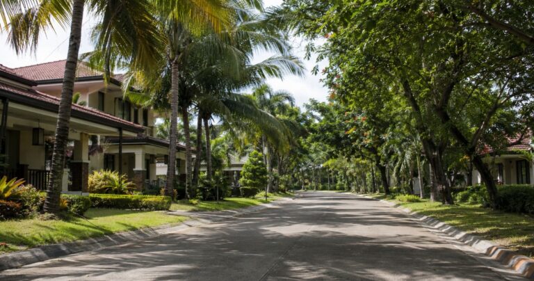 Expat Island Sanctuary: Japanese and Korean Investment Needed for Bohol Residential Project