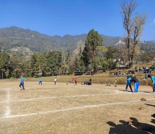 The Ultimate Christmas Gift: A $1,500 Baseball Franchise