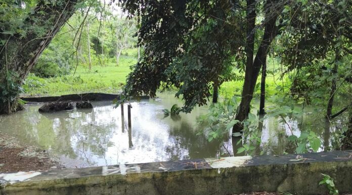 Bohol Island Escapes Major Damage from Typhoon Tino