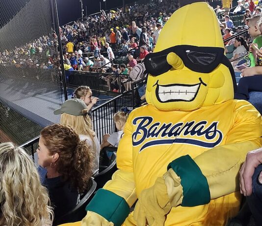 Moore or Less: The Awesome Savannah Bananas