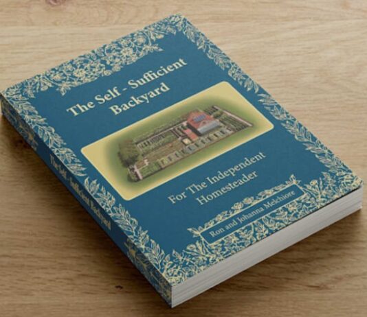 The “Independent Backyard” Breakthrough: Small Space, Massive Yield