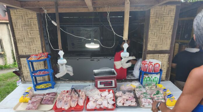 Wanted: Elite Female Fastpitch Softball Coach for an Island Paradise