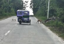 Around Town: Scenes from Cambanac