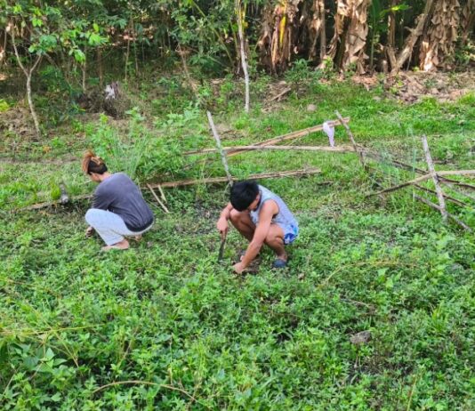 From Backyard Gardens to Community Soup Kitchen
