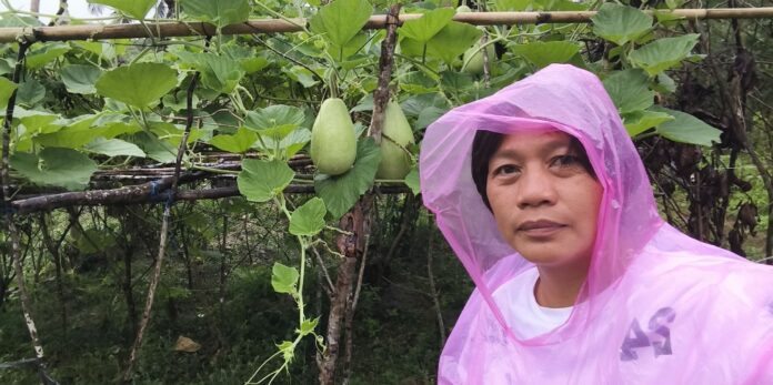 Cambanac Kagawad Lerma Moore