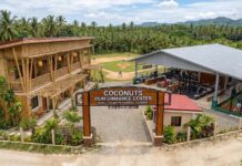 Plans for the Coconuts Performance Center Taking Shape