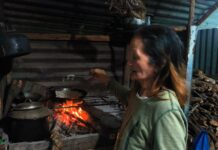 Trade the Resort Buffets for the Real Jungle