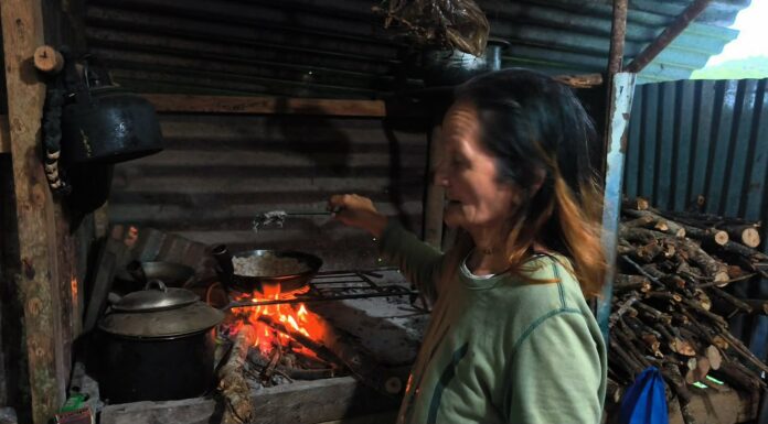 Trade the Resort Buffets for the Real Jungle