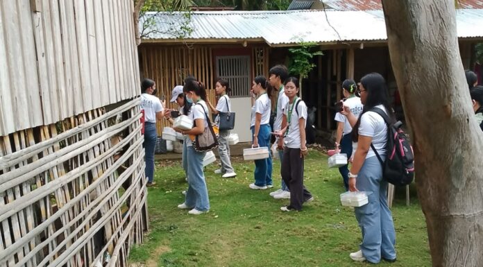 Photo Gallery: Holy Name University Community Service