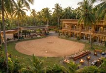 Plans for the Coconuts Performance Center Taking Shape