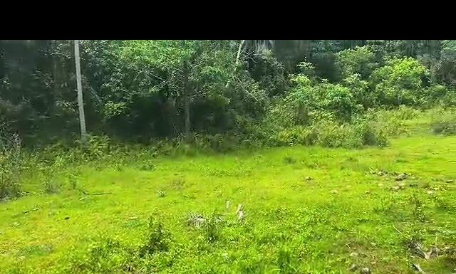 A Walk into the Future: Exclusive First Look at the Coconuts Performance Center Site