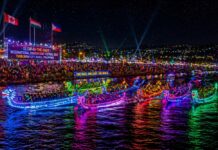 Bohol News Roundup: Dragons That Glow